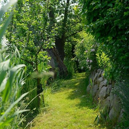 Wildrose Ferienhaus Boltenhagen  Zewnętrze zdjęcie
