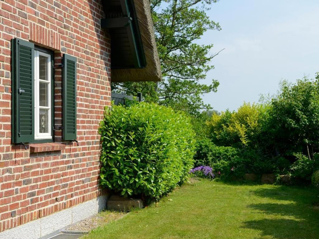 Wildrose Ferienhaus Boltenhagen  Zewnętrze zdjęcie