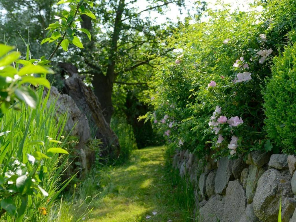 Wildrose Ferienhaus Boltenhagen  Zewnętrze zdjęcie