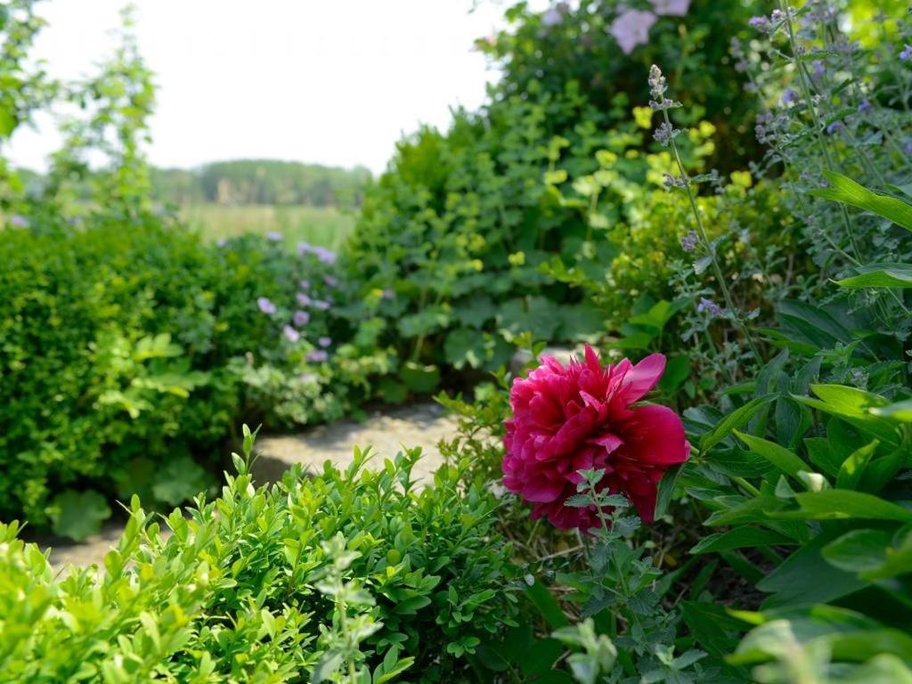 Wildrose Ferienhaus Boltenhagen  Zewnętrze zdjęcie